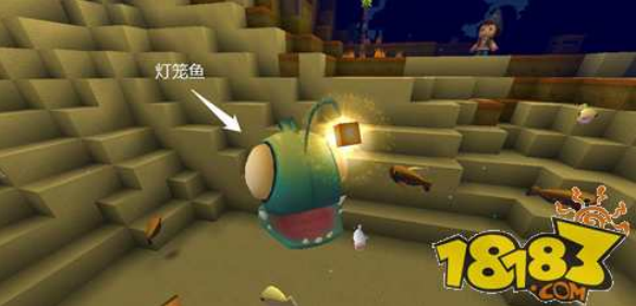 迷你世界水生生物介绍 水下生物种类一览