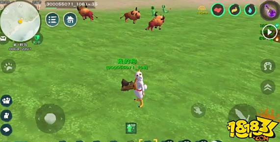 创造与魔法龙涎草位置分享 龙涎草位置一览