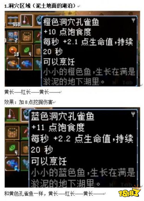地心護(hù)核者怎么釣魚 釣魚規(guī)律及各種魚效果介紹