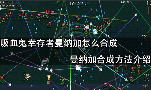 吸血鬼幸存者曼纳加怎么合成 曼纳加合成方法介绍