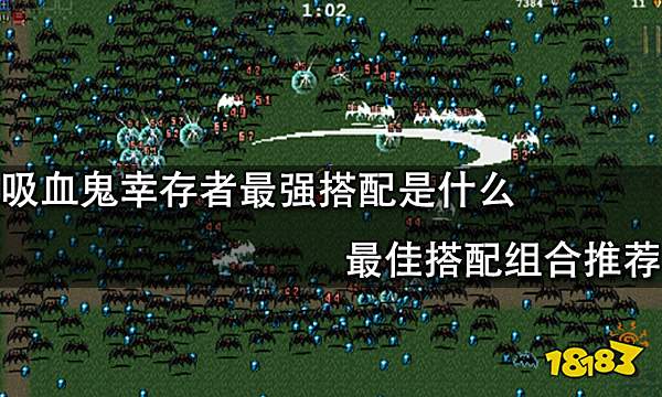 吸血鬼幸存者最强搭配是什么 最佳搭配组合推荐