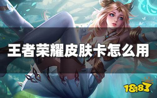 王者荣耀皮肤卡是什么 王者荣耀里皮肤卡怎么用