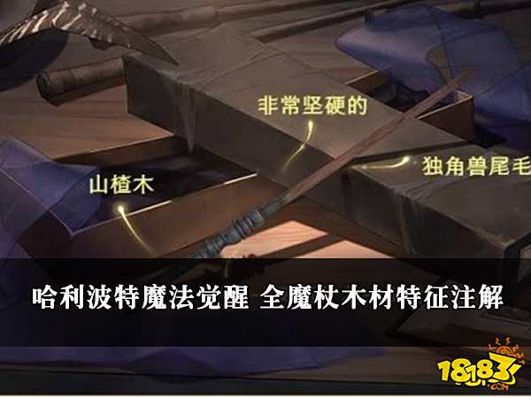 哈利波特魔法觉醒 全魔杖木材特征注解
