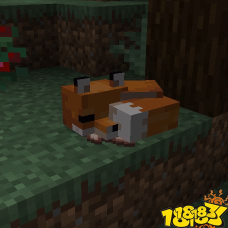 我的世界狐狸生成位置及繁殖方法介绍