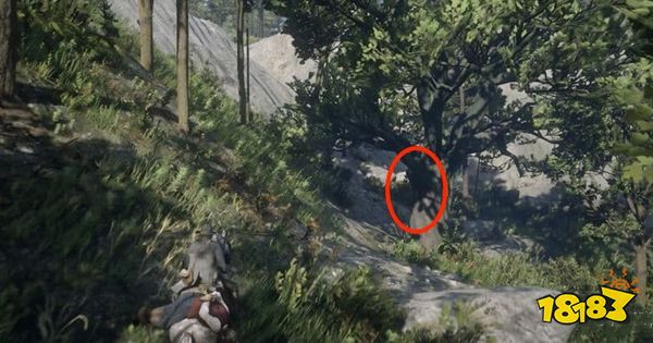 荒野大镖客2奇克的藏宝图在哪 奇克的藏宝图位置一览