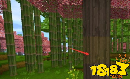 迷你世界竹笋获得方法 竹子种植教程