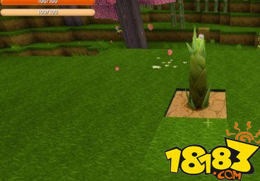 迷你世界竹笋获得方法 竹子种植教程