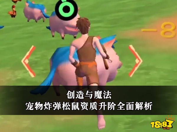 创造与魔法宠物炸弹松鼠资质升阶全面解析