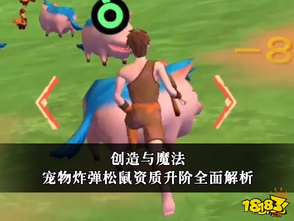 创造与魔法宠物炸弹松鼠资质升阶全面解析