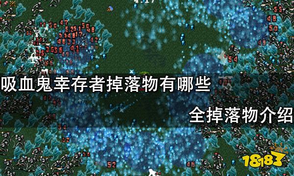 吸血鬼幸存者掉落物有哪些 全掉落物介绍