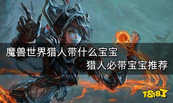 魔兽世界猎人带什么宝宝 猎人必带宝宝推荐