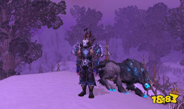 魔兽世界猎人幻化推荐 猎人幻化选什么