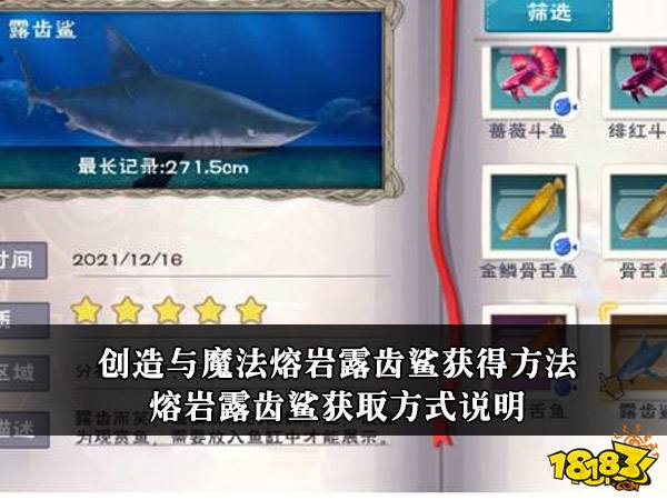 创造与魔法熔岩露齿鲨获得方法 熔岩露齿鲨捕捉攻略
