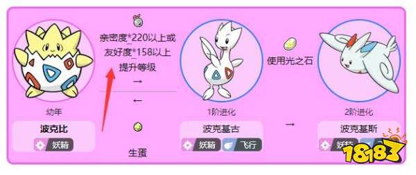 寶可夢阿爾宙斯波克比怎么進化 波克比進化方式介紹