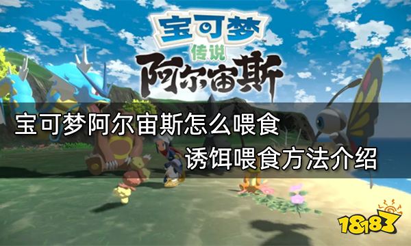 宝可梦阿尔宙斯怎么喂食 诱饵喂食方法介绍