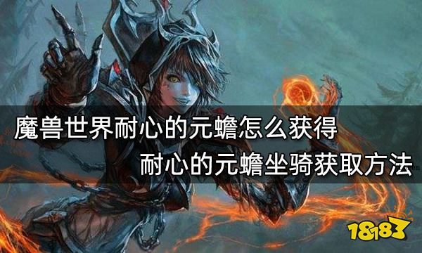 魔兽世界耐心的元蟾怎么获得 耐心的元蟾坐骑获取方法