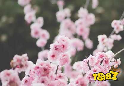 春分过后是什么节气 二十四节气顺序表分享