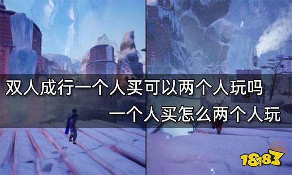双人成行一个人买可以两个人玩吗 一个人买怎么两个人玩