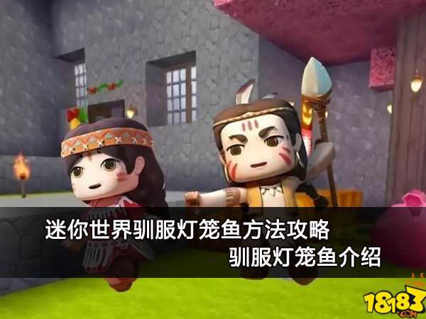 迷你世界驯服灯笼鱼方法攻略 驯服灯笼鱼介绍