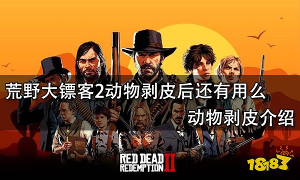 荒野大镖客2动物剥皮后还有用么 动物剥皮介绍