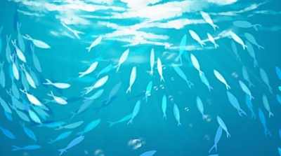 1+X综合布线证书申报指南 申报1+x综合布线证书入口分享