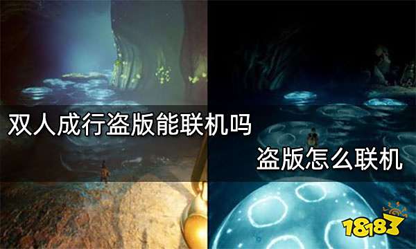 双人成行盗版能联机吗 盗版怎么联机