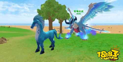 創造與魔法蒼穹幻龍全面解析與展示