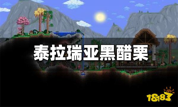 泰拉瑞亚黑醋栗怎么获得 黑醋栗有什么用