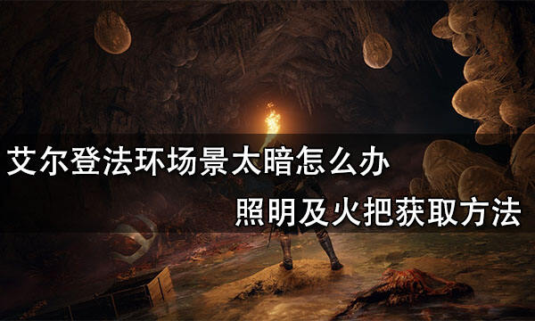 艾尔登法环场景太暗怎么办 照明及火把获取方法