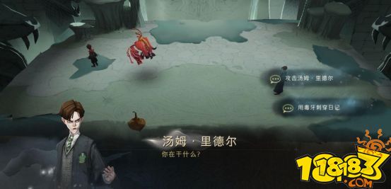 哈利波特魔法觉醒无名之书1992密室图文攻略