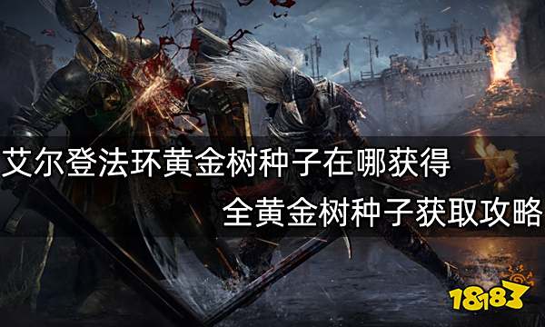 艾尔登法环黄金树种子在哪获得 全黄金树种子获取攻略