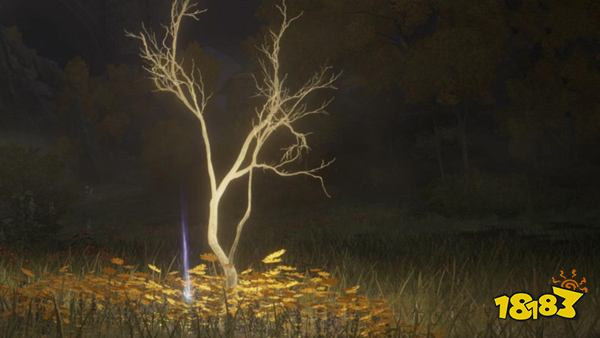 艾尔登法环黄金树种子在哪获得 全黄金树种子获取攻略