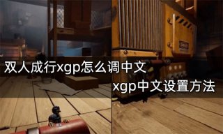 双人成行xgp怎么调中文 xgp中文设置方法