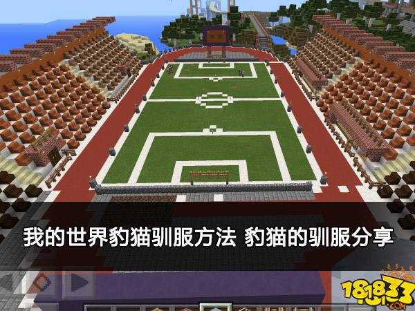 我的世界豹猫驯服方法 豹猫的驯服分享