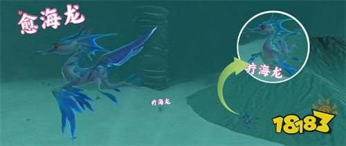 創造與魔法療海龍和愈海龍戰寵解析