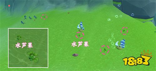 創造與魔法療海龍和愈海龍戰寵解析