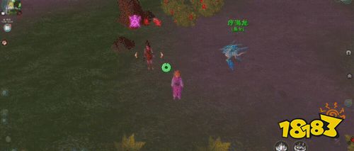 創造與魔法療海龍和愈海龍戰寵解析