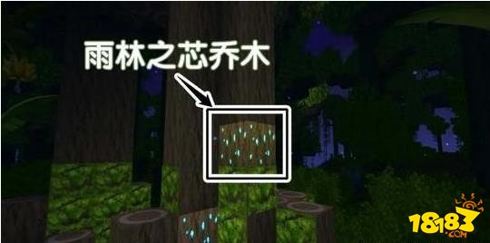 迷你世界雨林道具天气预报器作用和使用方法