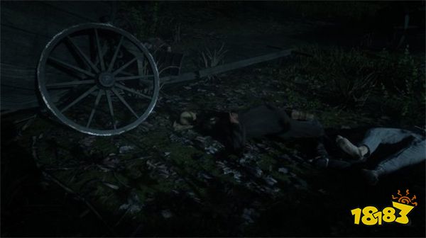 荒野大镖客2自由帽怎么获得 自由帽获得位置分享