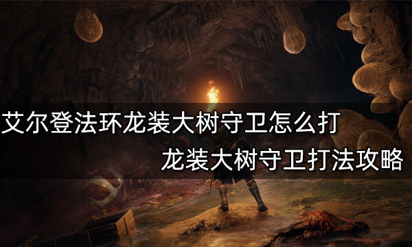 艾尔登法环龙装大树守卫怎么打 龙装大树守卫打法攻略