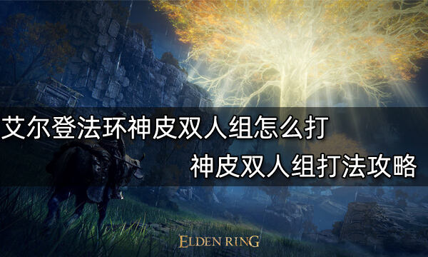 艾尔登法环神皮双人组怎么打 神皮双人组打法攻略