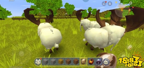 迷你世界拥有一片羊群 新手进阶攻略
