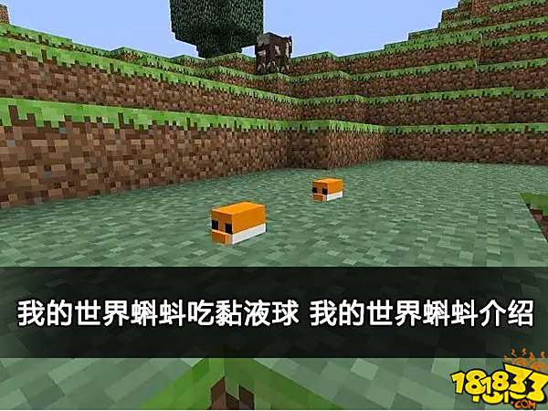 我的世界蝌蚪吃黏液球 我的世界蝌蚪介绍
