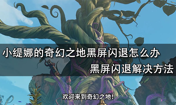 小缇娜的奇幻之地黑屏闪退怎么办 黑屏闪退解决方法