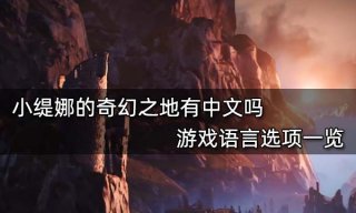 小缇娜的奇幻之地有中文吗 游戏语言选项一览