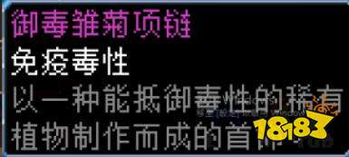 地心護核者符文劍怎么搭配 符文劍搭配心得分享