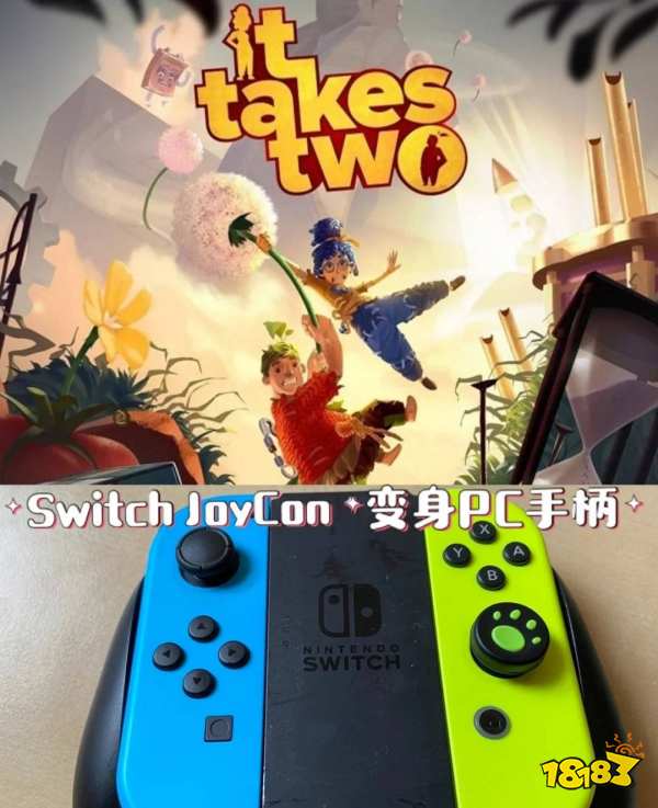 雙人成行如何用joycon玩 joycon游玩教程