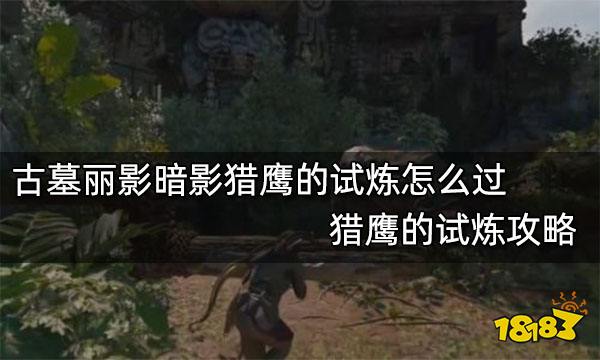 古墓丽影暗影猎鹰的试炼怎么过 猎鹰的试炼攻略