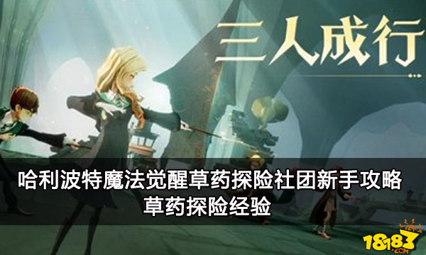 哈利波特魔法觉醒草药探险社团新手攻略 草药探险经验