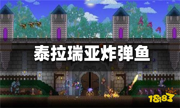 泰拉瑞亚炸弹鱼怎么钓 炸弹鱼在哪里